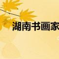 湖南书画家网（关于湖南书画家网介绍）