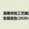 湖南传统工艺振兴发展报告(2020)（关于湖南传统工艺振兴发展报告(2020)介绍）