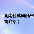 湖南佳成知识产权有限公司（关于湖南佳成知识产权有限公司介绍）