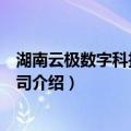 湖南云极数字科技有限公司（关于湖南云极数字科技有限公司介绍）
