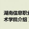 湖南信息职业技术学院（关于湖南信息职业技术学院介绍）