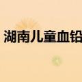 湖南儿童血铅案（关于湖南儿童血铅案介绍）