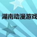 湖南动漫游戏展（关于湖南动漫游戏展介绍）