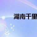 湖南千里光（关于湖南千里光介绍）