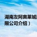 湖南友阿奥莱城商业有限公司（关于湖南友阿奥莱城商业有限公司介绍）