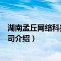 湖南孟丘网络科技有限公司（关于湖南孟丘网络科技有限公司介绍）