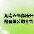 湖南天鹰高压开关电器有限公司（关于湖南天鹰高压开关电器有限公司介绍）
