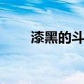 漆黑的斗龙（关于漆黑的斗龙介绍）