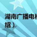 湖南广播电视中心（关于湖南广播电视中心介绍）