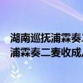 湖南巡抚浦霖奏二麦收成八分有馀诗以志慰（关于湖南巡抚浦霖奏二麦收成八分有馀诗以志慰介绍）
