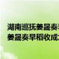湖南巡抚姜晟奏早稻收成九分有馀诗以志慰（关于湖南巡抚姜晟奏早稻收成九分有馀诗以志慰介绍）