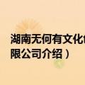 湖南无何有文化创意有限公司（关于湖南无何有文化创意有限公司介绍）