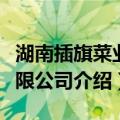 湖南插旗菜业有限公司（关于湖南插旗菜业有限公司介绍）