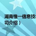 湖南惟一信息技术有限公司（关于湖南惟一信息技术有限公司介绍）