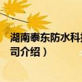 湖南泰东防水科技有限公司（关于湖南泰东防水科技有限公司介绍）