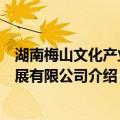 湖南梅山文化产业发展有限公司（关于湖南梅山文化产业发展有限公司介绍）