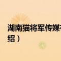 湖南猫将军传媒有限公司（关于湖南猫将军传媒有限公司介绍）