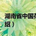 湖南省中国荷花节（关于湖南省中国荷花节介绍）