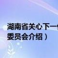 湖南省关心下一代工作委员会（关于湖南省关心下一代工作委员会介绍）