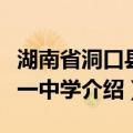 湖南省洞口县第一中学（关于湖南省洞口县第一中学介绍）