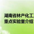 湖南省林产化工工程重点实验室（关于湖南省林产化工工程重点实验室介绍）