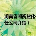 湖南省湘衡盐化有限责任公司（关于湖南省湘衡盐化有限责任公司介绍）