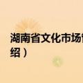 湖南省文化市场管理条例（关于湖南省文化市场管理条例介绍）