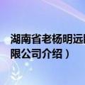 湖南省老杨明远眼镜有限公司（关于湖南省老杨明远眼镜有限公司介绍）