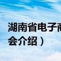 湖南省电子商务协会（关于湖南省电子商务协会介绍）