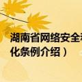 湖南省网络安全和信息化条例（关于湖南省网络安全和信息化条例介绍）