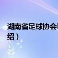湖南省足球协会甲级联赛（关于湖南省足球协会甲级联赛介绍）