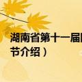 湖南省第十一届网络文化节（关于湖南省第十一届网络文化节介绍）