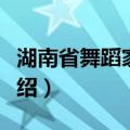 湖南省舞蹈家协会（关于湖南省舞蹈家协会介绍）