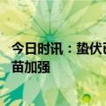 今日时讯：蛰伏已久的疱疹病毒可能被新冠唤醒 儿童新冠疫苗加强