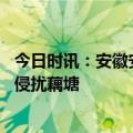 今日时讯：安徽安庆九斤重大老鼠身份查清 江西上千只天鹅侵扰藕塘