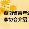 湖南省青年企业家协会（关于湖南省青年企业家协会介绍）