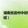 湖南省道州中创电器公司（关于湖南省道州中创电器公司介绍）