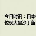 今日时讯：日本樱岛昭和火山口时隔近5年喷发 日本一沙滩惊现大量沙丁鱼