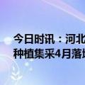 今日时讯：河北10日起取消京津异地就医备案 河南全口牙种植集采4月落地执行