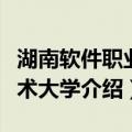 湖南软件职业技术大学（关于湖南软件职业技术大学介绍）