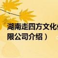 湖南走四方文化传媒有限公司（关于湖南走四方文化传媒有限公司介绍）