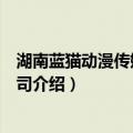 湖南蓝猫动漫传媒有限公司（关于湖南蓝猫动漫传媒有限公司介绍）