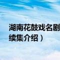 湖南花鼓戏名剧名段选 续集（关于湖南花鼓戏名剧名段选 续集介绍）