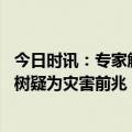 今日时讯：专家解读网传成都飞鸟撞树现象 成都大量飞鸟撞树疑为灾害前兆