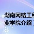 湖南网络工程职业学院（关于湖南网络工程职业学院介绍）