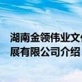 湖南金领伟业文化发展有限公司（关于湖南金领伟业文化发展有限公司介绍）