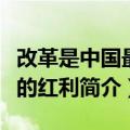 改革是中国最大的红利（关于改革是中国最大的红利简介）
