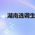湖南选调生网（关于湖南选调生网介绍）