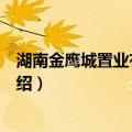 湖南金鹰城置业有限公司（关于湖南金鹰城置业有限公司介绍）