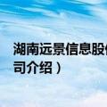湖南远景信息股份有限公司（关于湖南远景信息股份有限公司介绍）